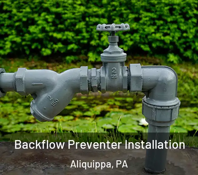  Backflow Preventer Installation Aliquippa, PA