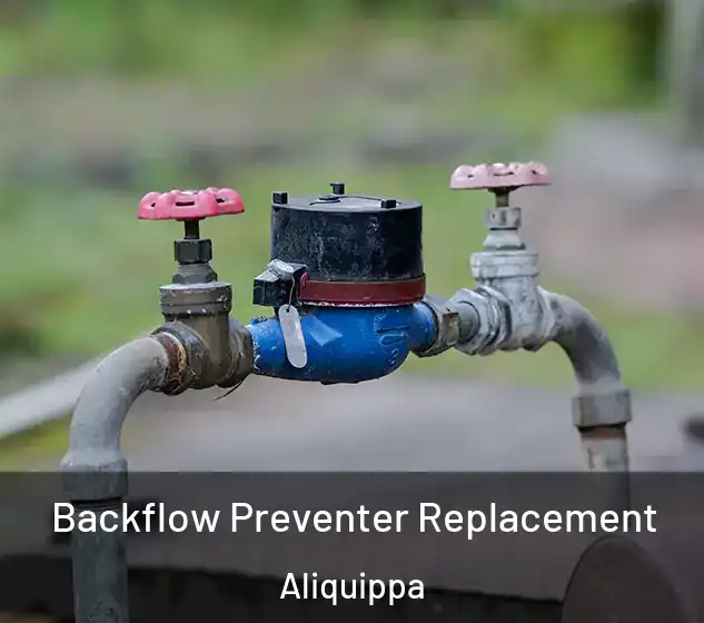  Backflow Preventer Replacement Aliquippa