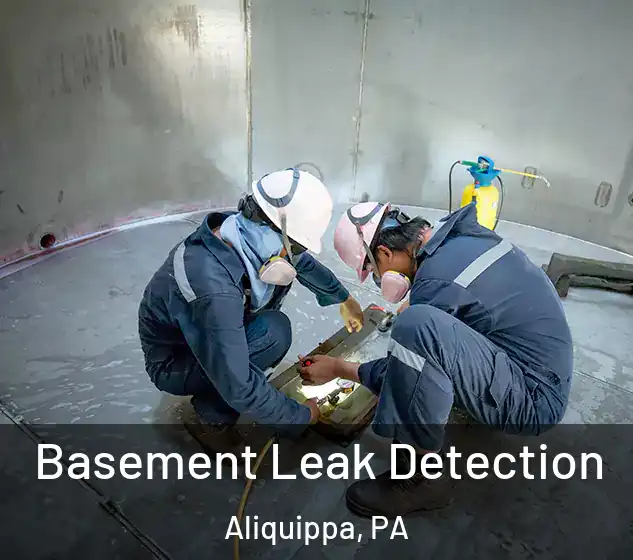  Basement Leak Detection Aliquippa, PA