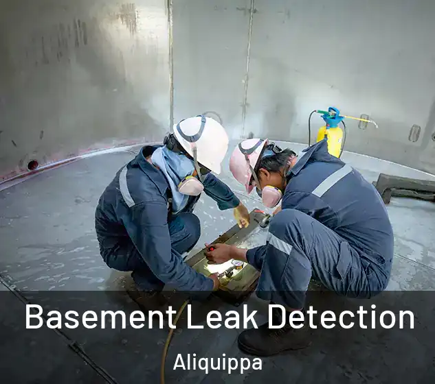  Basement Leak Detection Aliquippa