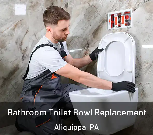  Bathroom Toilet Bowl Replacement Aliquippa, PA