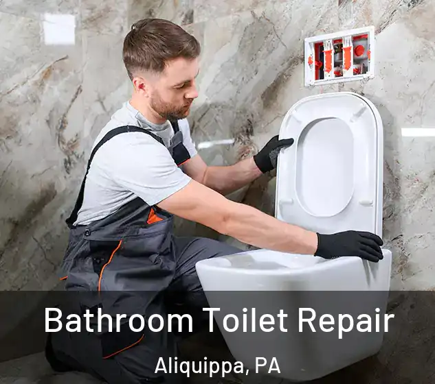  Bathroom Toilet Repair Aliquippa, PA