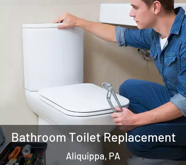  Bathroom Toilet Replacement Aliquippa, PA