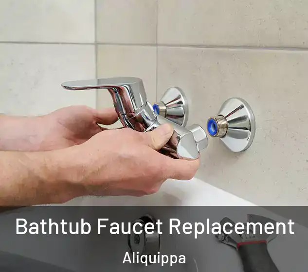  Bathtub Faucet Replacement Aliquippa