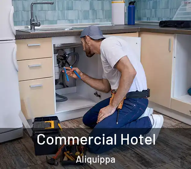  Commercial Hotel Aliquippa