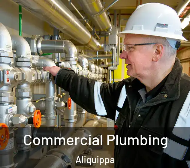  Commercial Plumbing Aliquippa