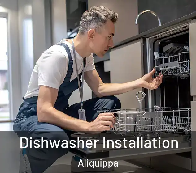  Dishwasher Installation Aliquippa