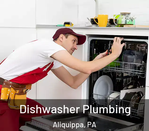  Dishwasher Plumbing Aliquippa, PA