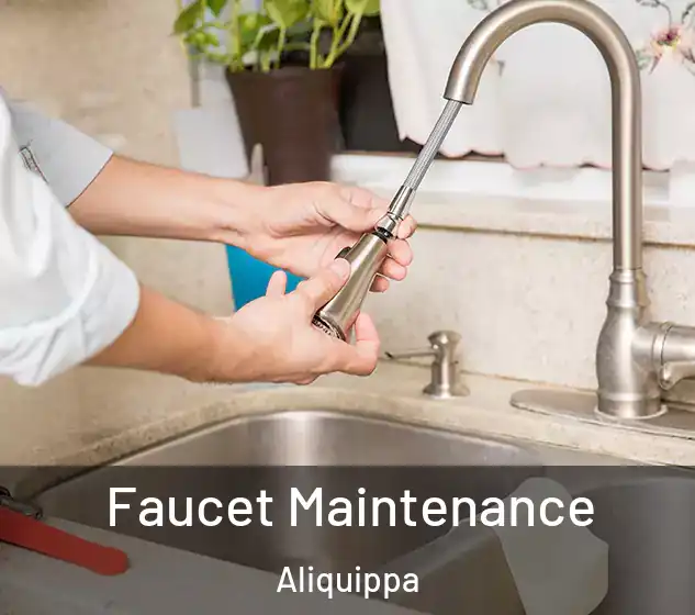  Faucet Maintenance Aliquippa