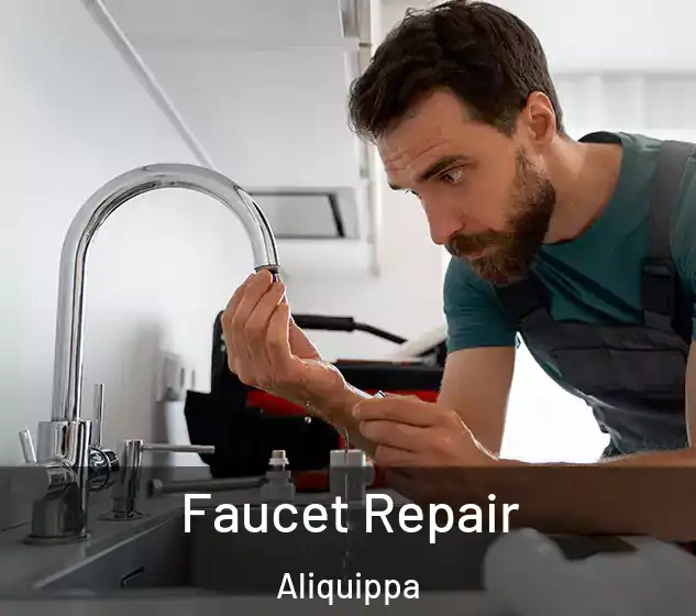  Faucet Repair Aliquippa