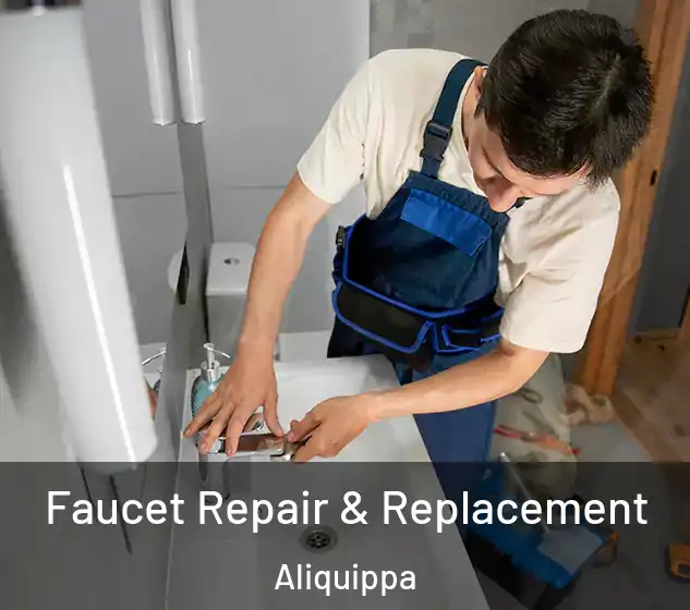  Faucet Repair & Replacement Aliquippa