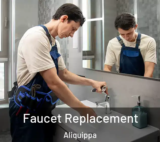  Faucet Replacement Aliquippa