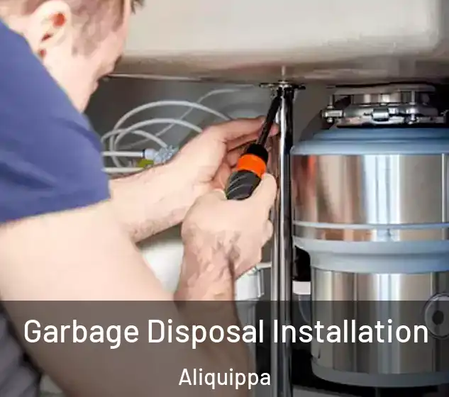  Garbage Disposal Installation Aliquippa
