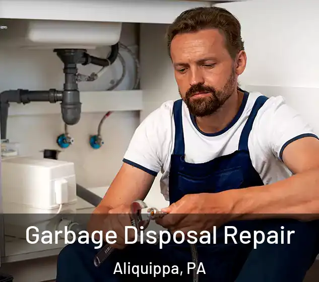  Garbage Disposal Repair Aliquippa, PA