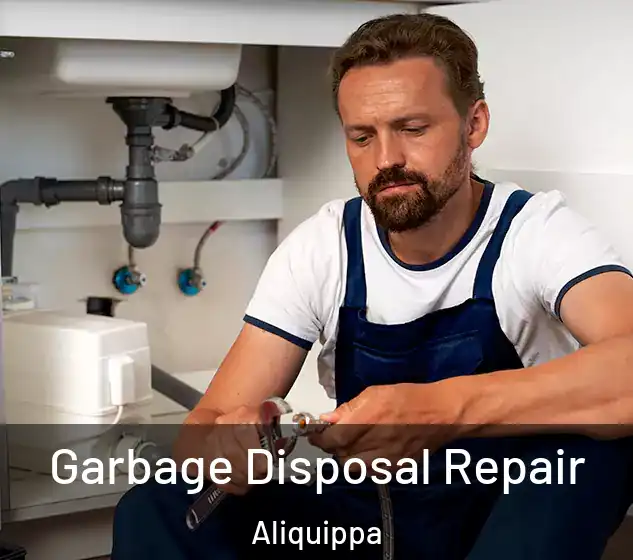  Garbage Disposal Repair Aliquippa