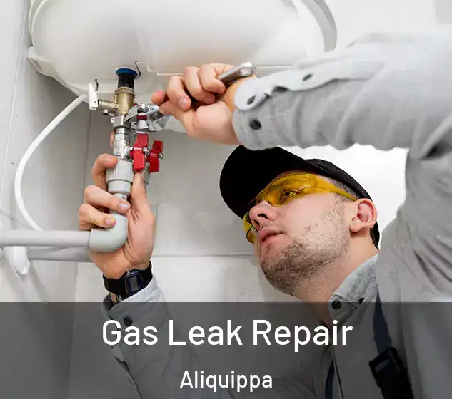  Gas Leak Repair Aliquippa