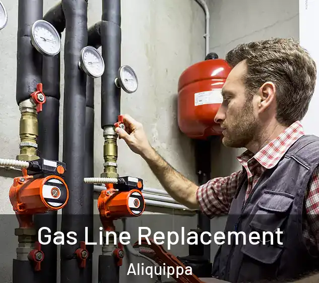  Gas Line Replacement Aliquippa