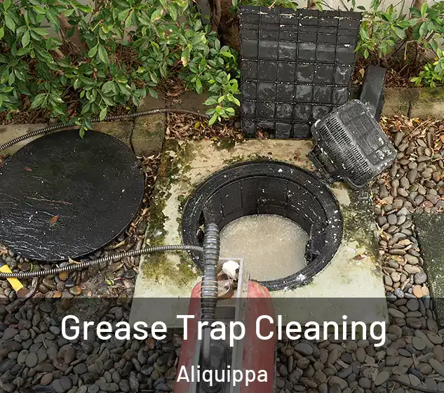  Grease Trap Cleaning Aliquippa