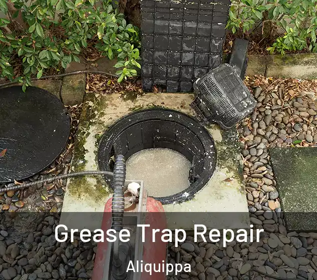  Grease Trap Repair Aliquippa