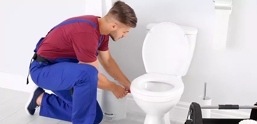 Scope of Bathroom Toilet Bowl Replacement Services in Aliquippa, PA