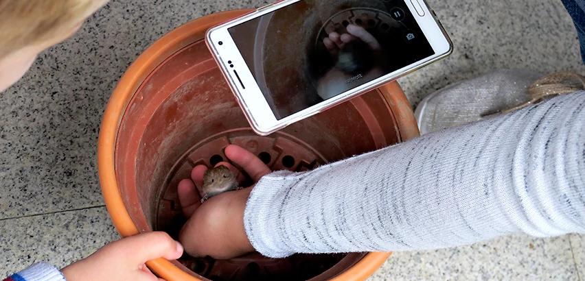 Scope of Drain Camera Inspection Services in Aliquippa, PA