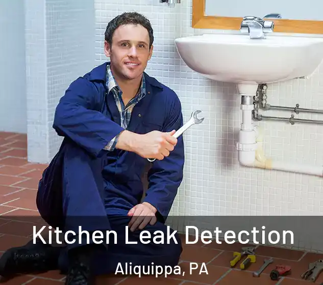  Kitchen Leak Detection Aliquippa, PA