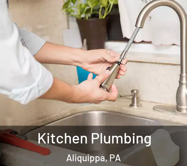  Kitchen Plumbing Aliquippa, PA