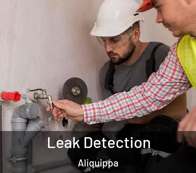  Leak Detection Aliquippa