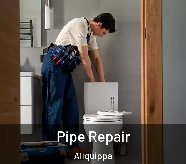  Pipe Repair Aliquippa