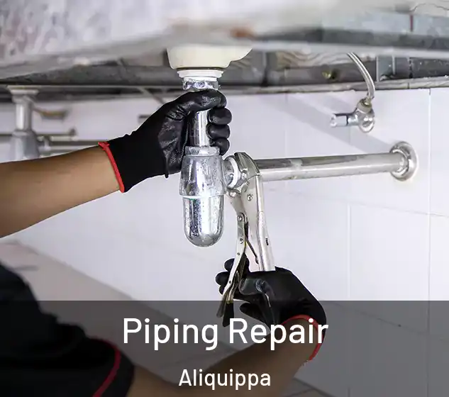  Piping Repair Aliquippa