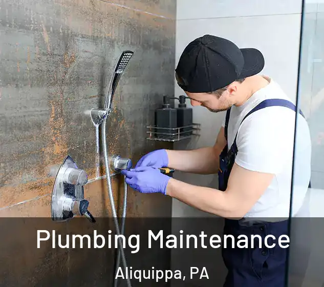  Plumbing Maintenance Aliquippa, PA
