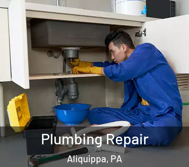  Plumbing Repair Aliquippa, PA