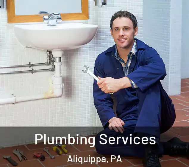  Plumbing Services Aliquippa, PA