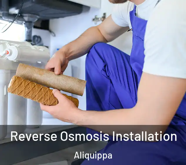  Reverse Osmosis Installation Aliquippa