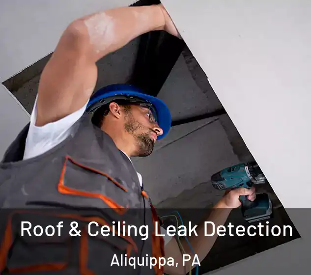  Roof & Ceiling Leak Detection Aliquippa, PA