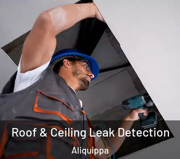  Roof & Ceiling Leak Detection Aliquippa