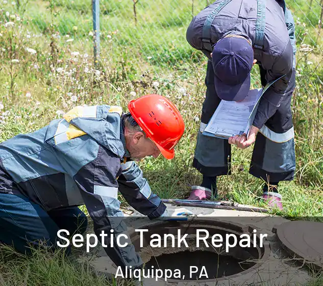  Septic Tank Repair Aliquippa, PA