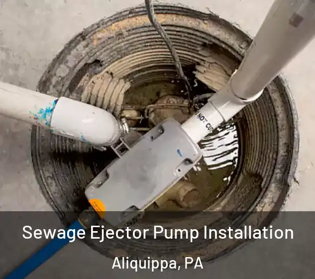  Sewage Ejector Pump Installation Aliquippa, PA