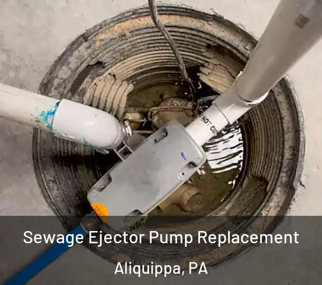  Sewage Ejector Pump Replacement Aliquippa, PA