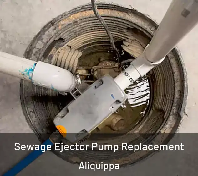  Sewage Ejector Pump Replacement Aliquippa