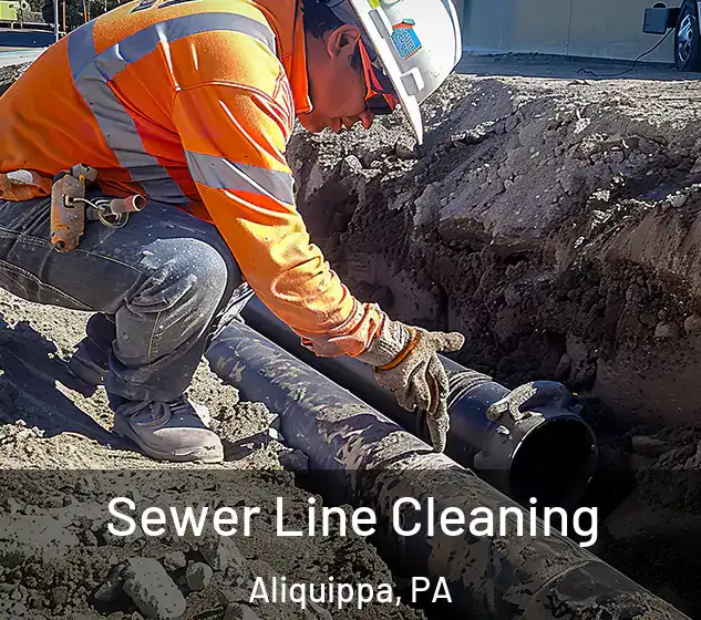  Sewer Line Cleaning Aliquippa, PA