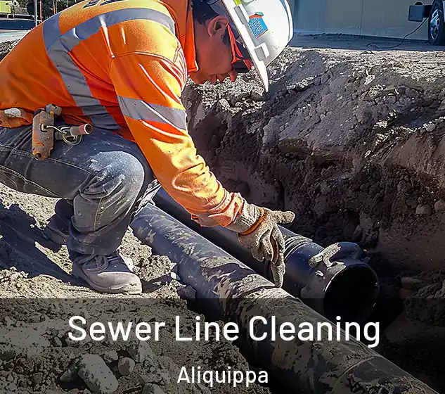 Sewer Line Cleaning Aliquippa