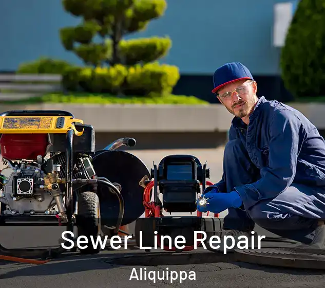  Sewer Line Repair Aliquippa