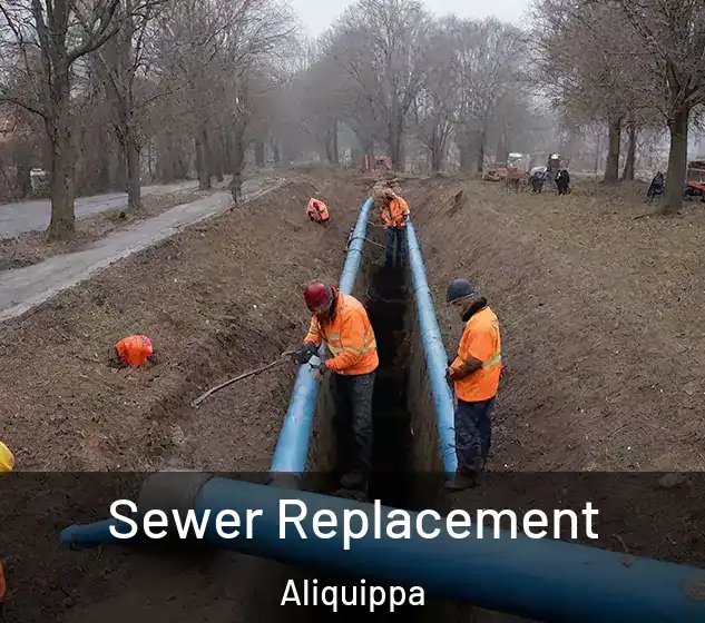  Sewer Replacement Aliquippa