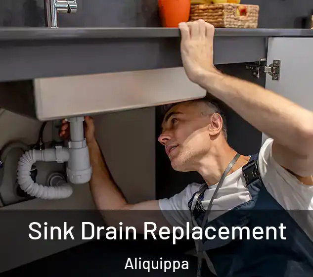  Sink Drain Replacement Aliquippa