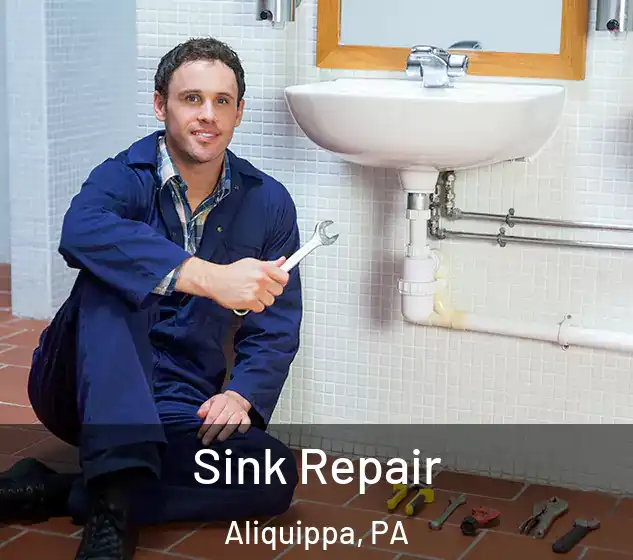  Sink Repair Aliquippa, PA