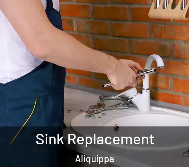  Sink Replacement Aliquippa
