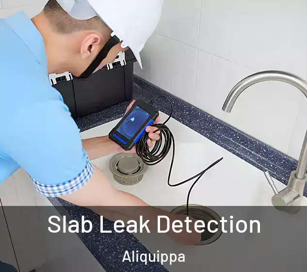  Slab Leak Detection Aliquippa