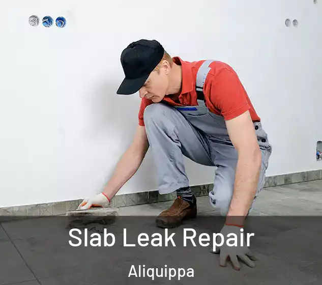  Slab Leak Repair Aliquippa