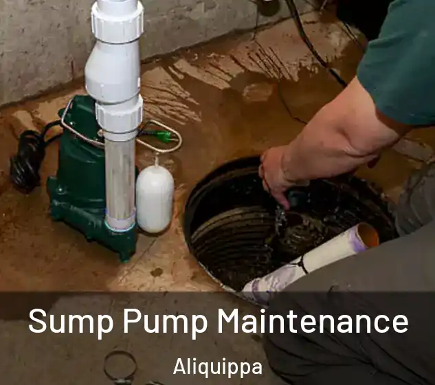  Sump Pump Maintenance Aliquippa